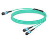 Scheda Tecnica: NVIDIA Passive Fiber Cable, Mmf, Mpo12 APC To 2xmpo12 APC - 10m