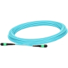 Scheda Tecnica: NVIDIA Passive Fibercable, Mmf, Mpo12 APC To Mpo12 APC, 5m - 