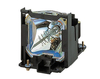 Scheda Tecnica: BenQ Spare Lamp - For Sw916