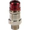 Scheda Tecnica: Axis Ex D Cable Gland M20 Non-armored - 