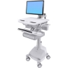 Scheda Tecnica: Ergotron Styleview Cart With LCD ARM Styleview Wagen with - LCDRM, Slantrieb, 2 Schubladen (2x1)