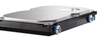 Scheda Tecnica: HP 1TB 7200RPM SATA 6GBps Hard Drive - 