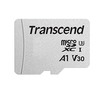 Scheda Tecnica: Transcend 4GB Microsd Without ADApter Class10 - 