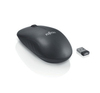Scheda Tecnica: Fujitsu Wireless Mouse Wi210 - 