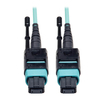 Scheda Tecnica: EAton 2m Mtp/mpo Patch 12 Fiber - 