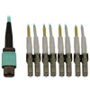 Scheda Tecnica: EAton 40/100/400g Mm 50/125 Om3 Fbr 12f Mtp/mpo-pc 4x Dpx - Lc/pc F/M