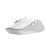 Scheda Tecnica: Trust Mouse - FERRO HYPERWHEEL WRLS WHITE