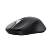 Scheda Tecnica: Trust Mouse - FERRO HYPERWHEEL WRLS BLACK