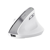 Scheda Tecnica: Trust mouse BAYO II ERGONOMIC - WIRELESS WHT