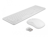 Scheda Tecnica: Delock mouse Keyboard USB and Set 2,4 GHz kabellos White - 