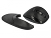 Scheda Tecnica: Delock mouse Ergonomic optical 5-button 2.4 GHz wireless - with Wrist Rest - right handers
