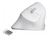 Scheda Tecnica: Delock mouse Ergonomic USB vertical - wireless - 