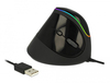 Scheda Tecnica: Delock mouse Ergonomic USB vertical - RGB Illumination - 
