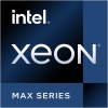 Scheda Tecnica: Intel 4th Gen. Xeon Max 40C/80T LGA4677 - 9460 2.20GHz/3.50GHz 97,5Mb Cache (40C/80T) Oem 350W