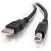 Scheda Tecnica: C2G Cavo USB USB (m) USB Tipo B (m) USB 2.0 1 M Nero - 