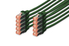 Scheda Tecnica: DIGITUS Confezione 10 LAN Cable Cat.6 S/FTP Schermati - Mt 0,25 Colore Verde
