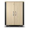 Scheda Tecnica: APC Netshelter Soundproof - Server Rack 17u 230v 1000h X 750