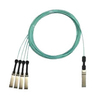 Scheda Tecnica: Extreme Networks 100Gb, DAC QSFP284xSFP28 1m - 