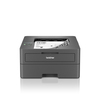 Scheda Tecnica: Brother Hl-l2447dw Laser 32ppm 64mb USB 1200dpi Wlan In - 