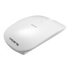 Scheda Tecnica: Tacens Levis Mouse Wireless 2.4g Total White - 