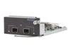 Scheda Tecnica: HPE 2-port 10GBE Sfp+ Module, Modulo Di Espansione, 10GB - Ethernet X 2, Per 5130, 5130 24, 5130 48, 5510, 5510 24, 5