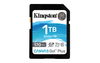 Scheda Tecnica: Kingston Sdxc 1TB CANVAS GO PLUS 170R C10 UHS-I U3 V30 - 