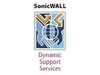 Scheda Tecnica: SonicWall E-class Support 24x7 - Nsae5500 2y