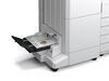 Scheda Tecnica: Epson Ep Fascicolatore - 