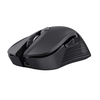 Scheda Tecnica: Trust Mouse GXT931 YBAR MULTI WIRELESS IN - 