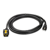 Scheda Tecnica: APC Power Cord, Locking C19 to 5-15P, 3.0m - 