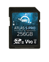 Scheda Tecnica: OWC Sdxc 256GB Atlas S Pro UHS-II V90 Media Card - 