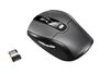 Scheda Tecnica: Fujitsu Mouse Wireless Notebook Wi610 - 