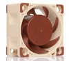 Scheda Tecnica: Noctua Nf-a4x20 5v Fan - 40mm - 