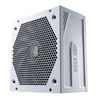 Scheda Tecnica: Cooler Master V550 Gold-V2 White Edt. 550 W, ATX 12V - V2.52, APFC, ATX 24 Pin / EPS 4+4 Pin / EPS 8 Pin / SATA /