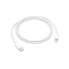 Scheda Tecnica: Apple Cavo da USBC Lightning (1 m) - 