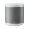 Scheda Tecnica: Xiaomi Mi Smart - Speaker