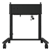 Scheda Tecnica: BenQ Mt02e Trolley - 
