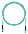 Scheda Tecnica: Panduit Cable Om4 12-fiber Mpo F/Mpo F Type B Mt.2 - 
