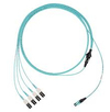 Scheda Tecnica: Panduit Cable Om4 8 Fiber Mpo Female To Lc 40gto10g Mt.2 - 