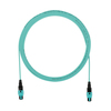 Scheda Tecnica: Panduit Om4 12 Fiber Interconnect Cable Mpo/mpo Mt.20 - 