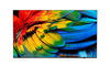Scheda Tecnica: Philips 65HFL6214U/12 4K Ultra HD LED, 65", 3840x2160p, 400 - cd/m, Android TV 9 (Pie), 12 V, max 1.5 A, AC 220-240 V,