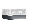 Scheda Tecnica: Cherry Keyboard KC 4500 - ERGO CORDED GERMAN USB PALE GREY GR