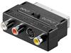 Scheda Tecnica: Goobay ADAttatore Scart S-VHS Rca Audio Video - 