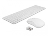 Scheda Tecnica: Delock Keyboard USB - and Mouse Set 2.4GHz wireless white