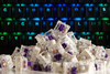 Scheda Tecnica: Glorious Kailh Pro Purple Switches (120 St?) - 