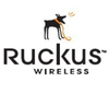 Scheda Tecnica: Ruckus Zonedirector 1100 Lic. Upg. From Supporting - 6 To Supporting 12 Zoneflex Access Points