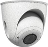 Scheda Tecnica: Mobotix Manually AdjusTBle Dome Mount For One Sensor - Module (not Included)