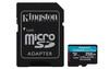 Scheda Tecnica: Kingston 256GB Msdxc Canvas Go Plus 170r A2 U3 V30 Card + - Adapter